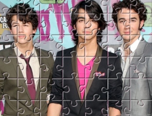 Brothers Jonas Ping Puzzle